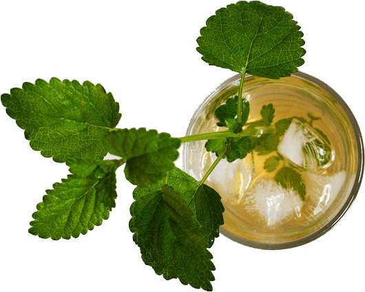 iced tea mint