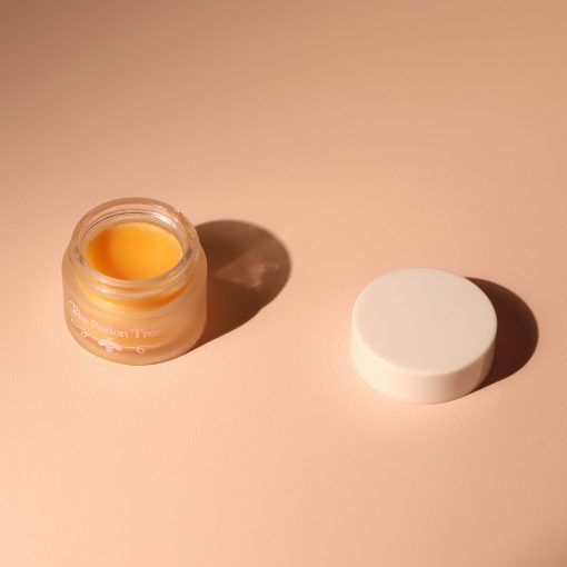 nz lip balm anti-aging anti-aging nourishing honey rosrhip shea butter mango rich dry lips made in nz natural
