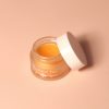 nz lip balm anti-aging anti-aging nourishing honey rosrhip shea butter mango rich dry lips made in nz natural