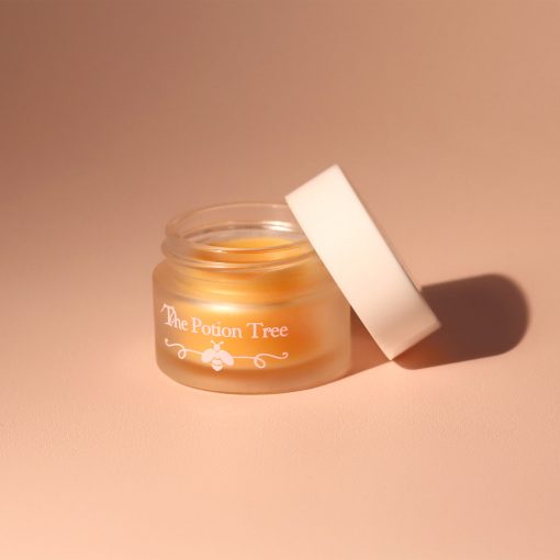 nz lip balm anti-aging anti-aging nourishing honey rosrhip shea butter mango rich dry lips made in nz natural