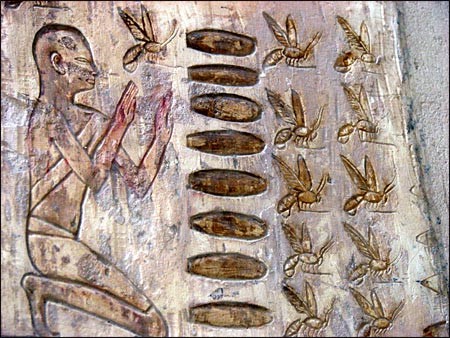 history of honey egyptian beekeeper the potion tree