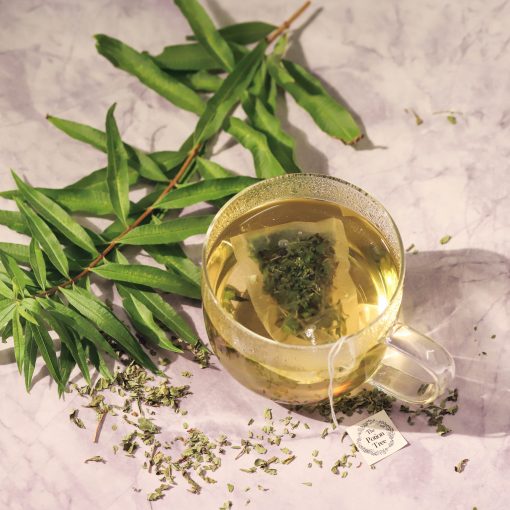 2023 Lemon Verbena Packshot vidage copylemon verbena organic loose tea nz new zealand the potion tree natural herbalist apothecary sedative anti anxiety digestive