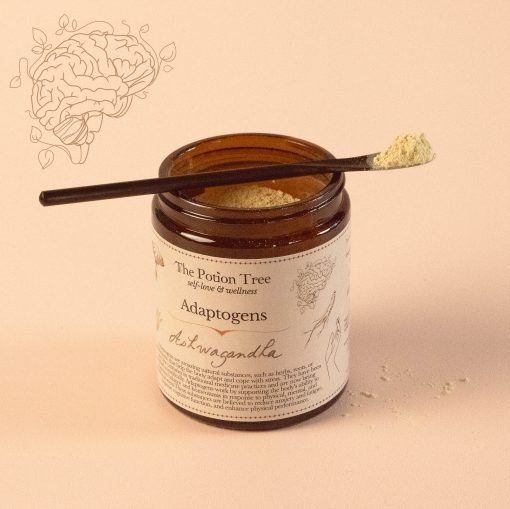ashwagandha powder nz organic adaptogen adaptogenic ayurvedic anti stress anxiety relaxant sleep cognitive memory athletic performance new zealand