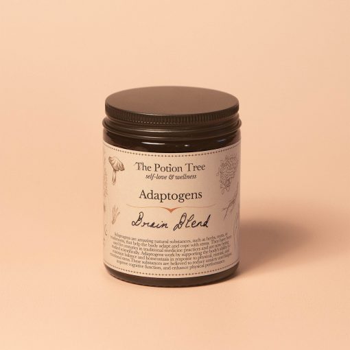 natural anti anxiety depression adaptogens adaptogenic blend powder nz organic Ginkgo Biloba Maitake Shiitake Chaga Lion's Mane Reishi ayurvedic anti stress anxiety relaxant sleep cognitive memory athletic performance new zealand