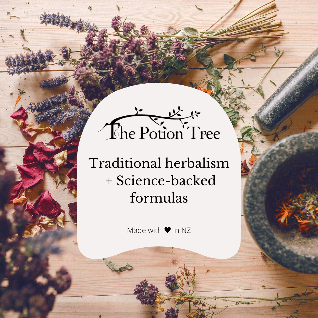 The Potion Tree herbalist wellington natural nz