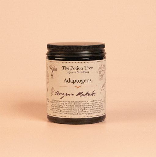 natural anticancer maitake mushroom powder nz organic adaptogen adaptogenic anti cancer diabetes 2 healing relaxant sleep cognitive memory athletic performance new zealand