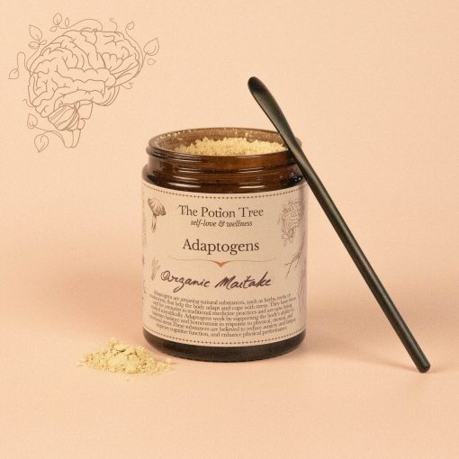 maitake mushroom powder nz organic adaptogen adaptogenic anti cancer diabetes 2 healing relaxant sleep cognitive memory athletic performance new zealand
