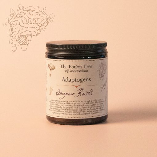 natural anticancer reishi mushroom powder nz organic adaptogen adaptogenic anti cancer anxiety immune boost immunomulator relaxant sleep cognitive memory athletic performance new zealand