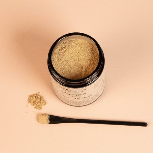 shiitake shitake mushroom powder nz heart health cardiovascular immune boost health anticancer organic adaptogen adaptogenic anti cancer anxiety immune boost immunomulator relaxant sleep cognitive memory athletic performance new zealand