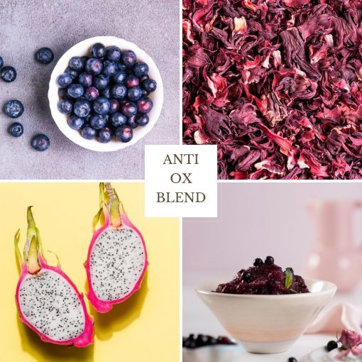 Anti Ox Blend Anti oxidant red fruits berries powder antiaging smoothie berries dragonfruit blueberry hibiscus nz